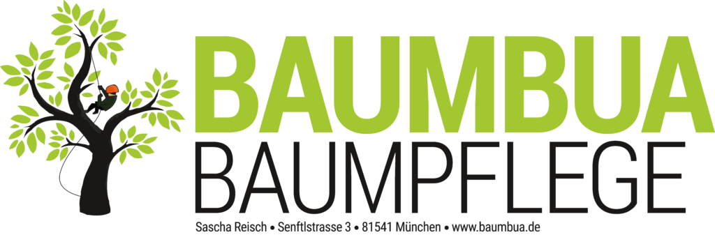 Logo Baumbua